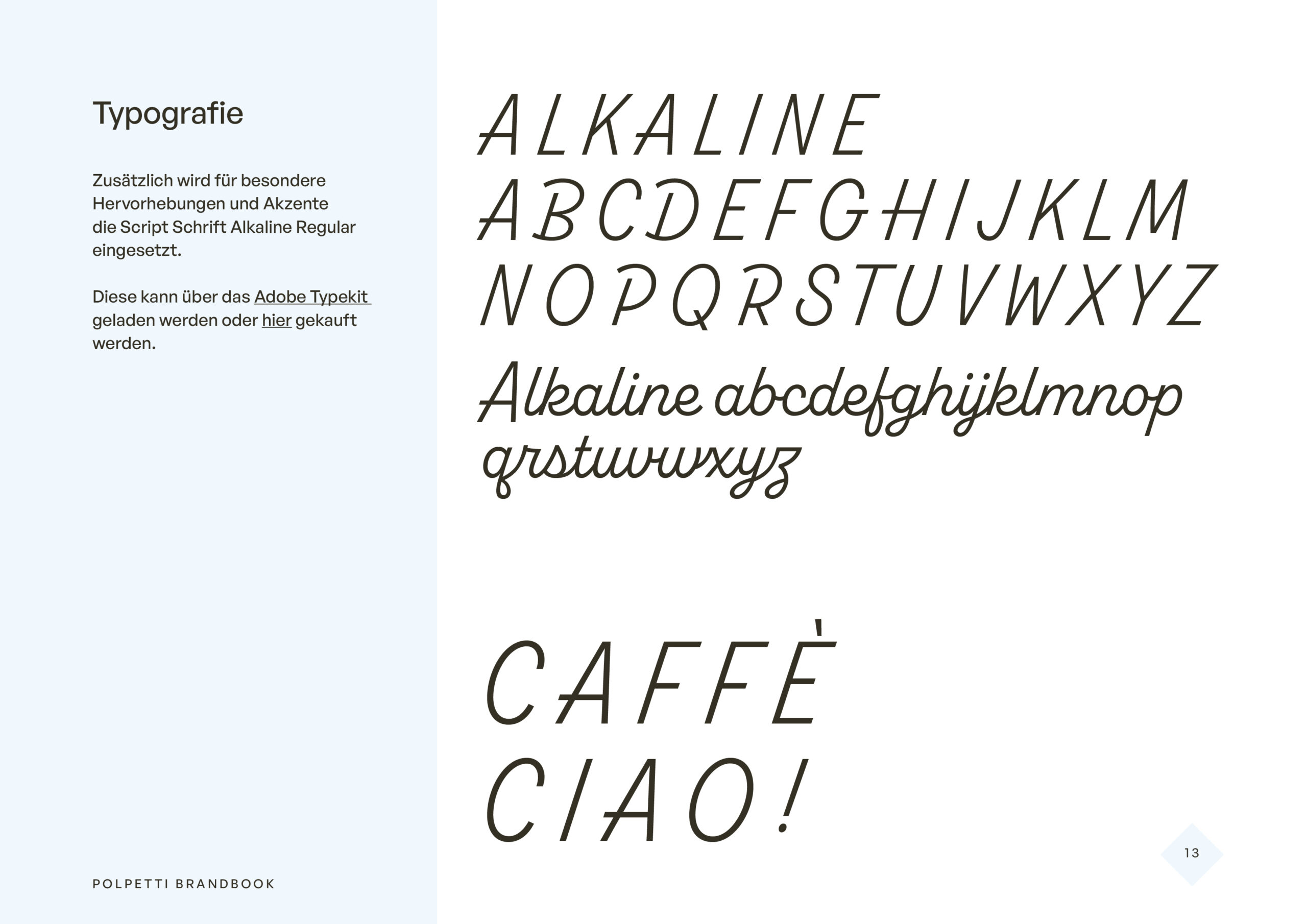 POL_Brandbook_14032513